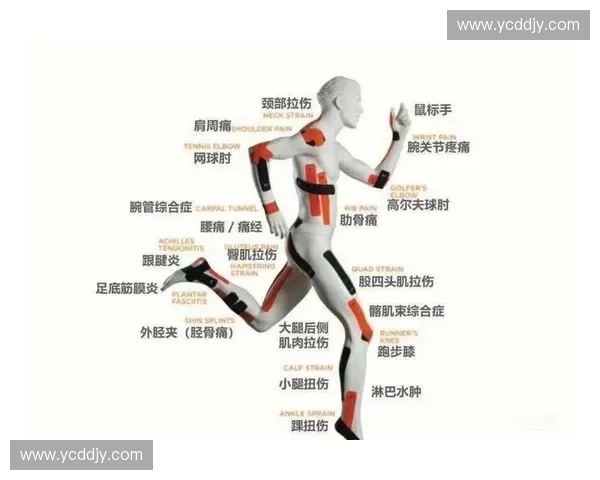 运动贴扎在运动康复与损伤预防中的科学应用与实践指南策略探索