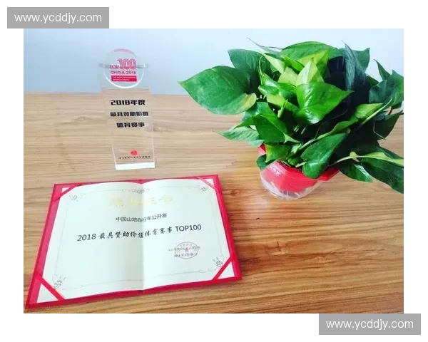 赛事赞助效果评估与品牌价值提升反馈研究报告及市场影响综合分析