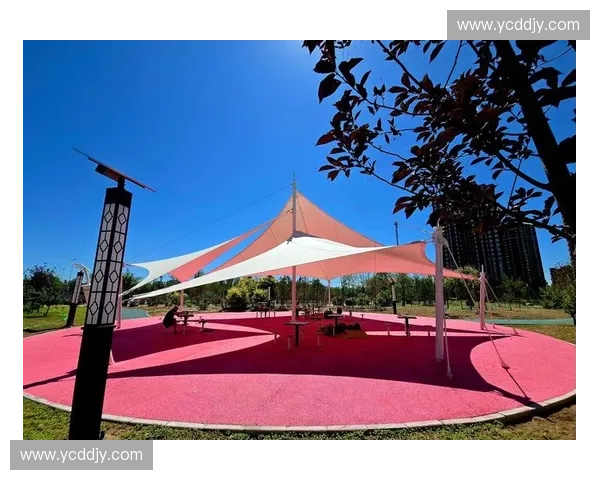 打造活力社区 以体育公园为核心的城市空间发展新模式 打造活力社区 以体育公园为核心的城市空间发展新模式